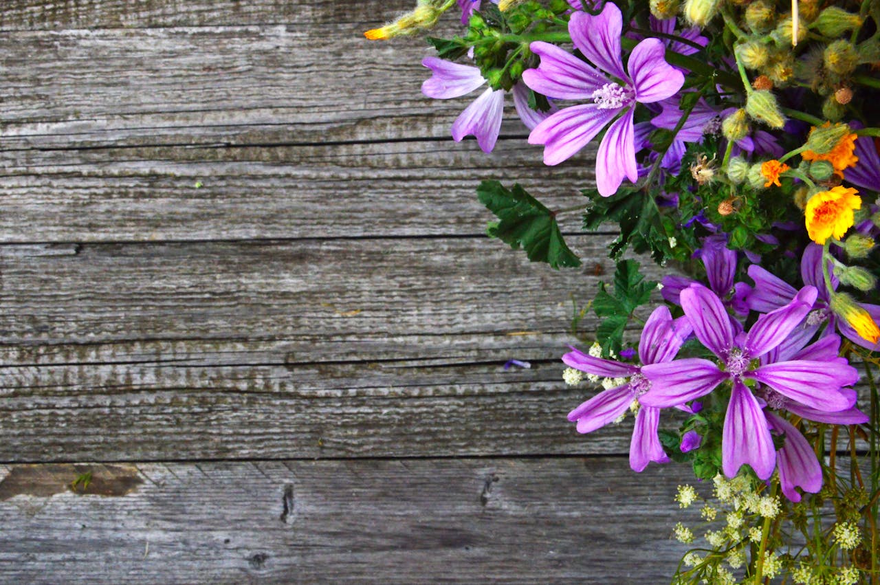 Rediscovering the Spirit of the LA Garden Show